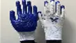 [2-LUVSILBA] Luva de Silicone (Azul e Branca)